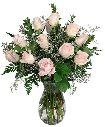 goldsboro florist|roses discount store goldsboro nc.